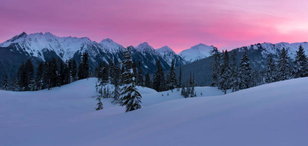 Mt Baker ski area is a popular place for various activities all year round.