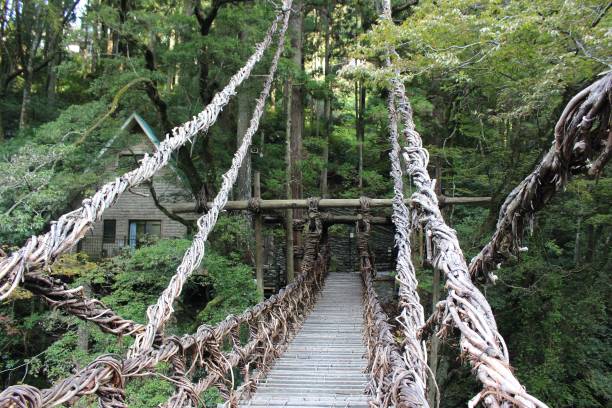 istock wooden bridge in japanese valley 642074702