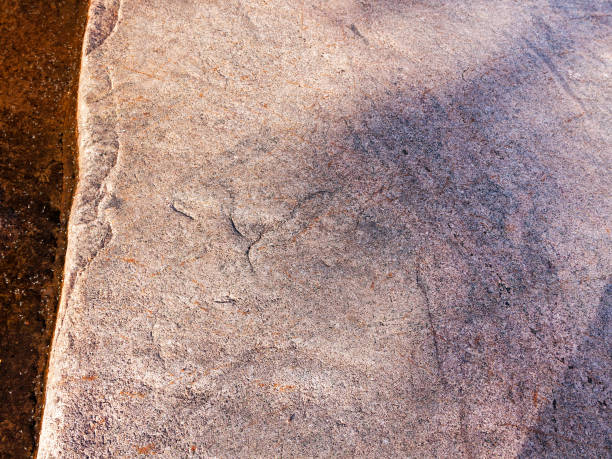 istock Ancient petroglyphs on granite Onega Lake shore 642083254