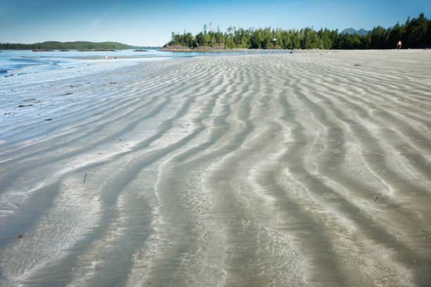 tofino, colúmbia britânica, canadá - 16 de julho de 2015: ampla praia com areia ondulada do recuo água na maré baixa na praia mackenzie na ilha de vancouver - receeding - fotografias e filmes do acervo