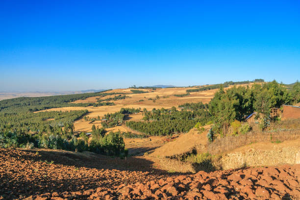 istock A view of a valley in Addia Ababa 642089002