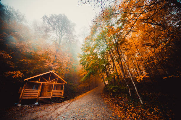 istock Autumn landscape image, Bolu, Turkey. 642094292