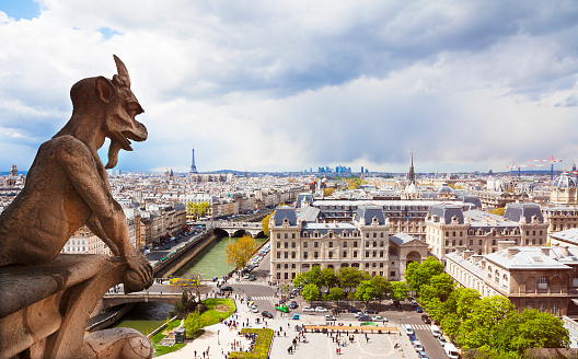 Gargoyle and city View of Paris with Eiffel Tower from Notre dame Cathedral