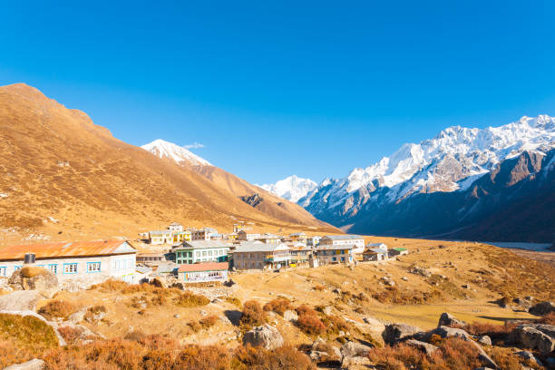 Langtang Himalayas Mountain Kyanjin Gompa Village High altitude Kyanjin Gompa village sits in Langtang Valley at base of Himalayas Mountain range and snow-capped Gangchenpo Peak in background in Nepal gompa stock pictures, royalty-free photos & images