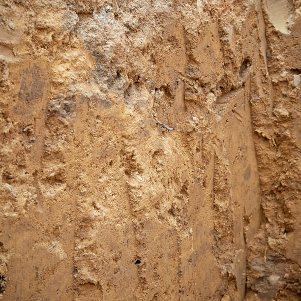 istock texture Layered soil of earth 642113796