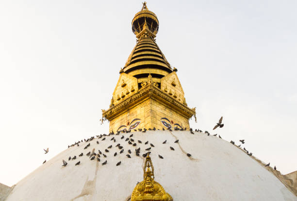 istock Swayambhunath Stupa,Kathmandu,Nepal 642127860