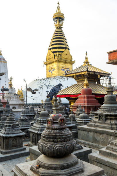 istock Swayambhunath Stupa,Kathmandu,Nepal 642127972