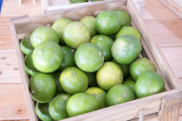 istock The green lime in the wood box. 642128060
