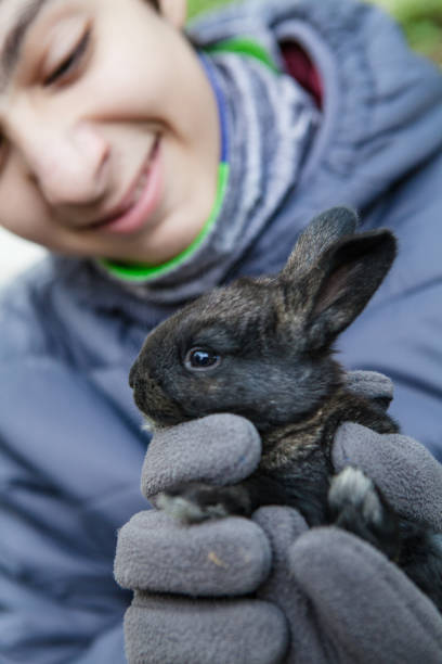 istock Teenager boy with little rabbit in his hands 642146130