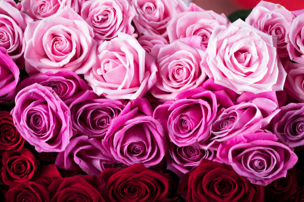 istock Valentine's day – bouquet of roses 642158614