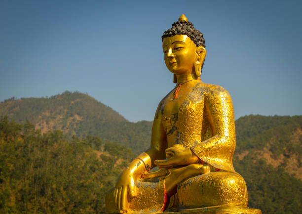 Golden Statue of Buddha with background of green forest and blue sky.