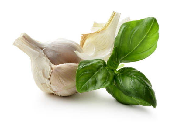 istock Ingredients: Basil and Garlic Isolated on White Background 642169500