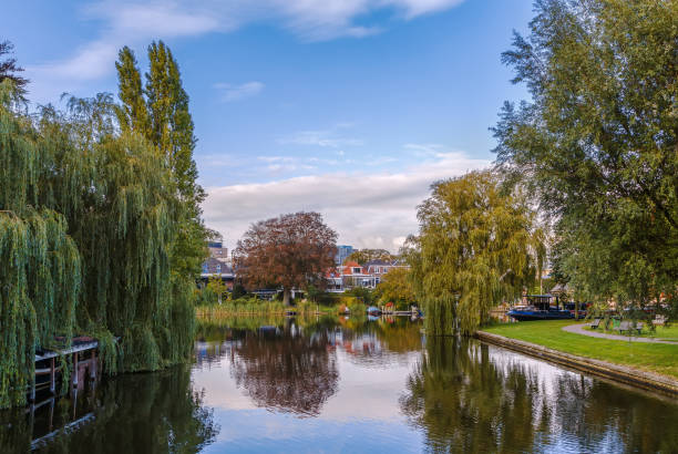 istock Landscape in Leiden, Netherlands 642174124