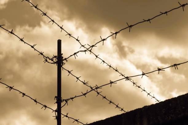 istock design from a barbed wire against the cloudy sky 642187102