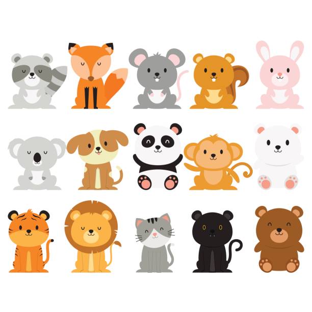 행복 한 동물 모음 - raccoon dog stock illustrations