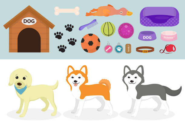 Dogs Stuff Icon Set With Accessories For Pets Flat Style Isolated