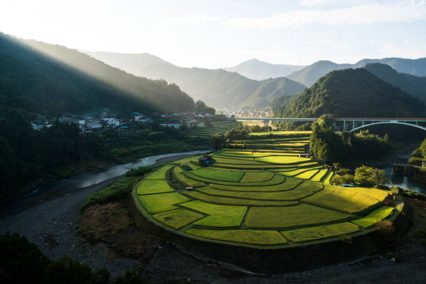 Arita Saga Photos Stock Photos, Pictures & RoyaltyFree Images iStock