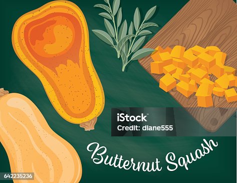 istock Cooking Flat lay of Butternut Squash 642235236
