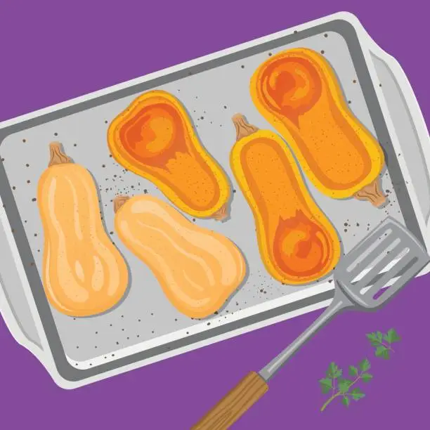 Vector illustration of Cooking Flat lay of Butternut Squash