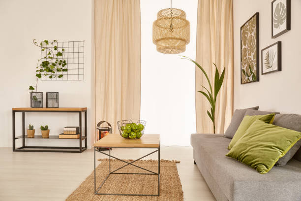 istock Living room with couch 642242160