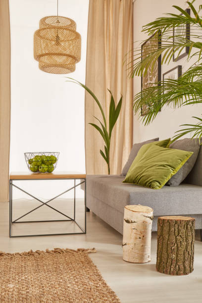 istock Corner of plants apartment 642242180