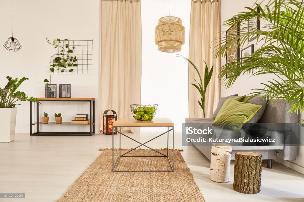 Flat with plants and couch Well-lighted flat interior with plants and couch Nature Stock Photo