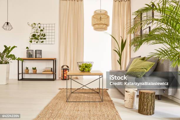 Flat With Plants And Couch Stock Photo - Download Image Now - Nature, Interior Decor, Living Room