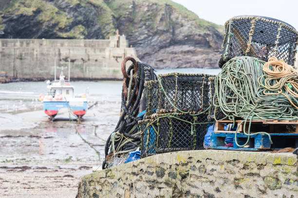 istock Lobster pots on a quayside in Cornwall 642246436