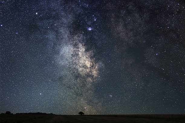 istock Night landscape with colorful Milky Way filed with lonely tree. 642247304