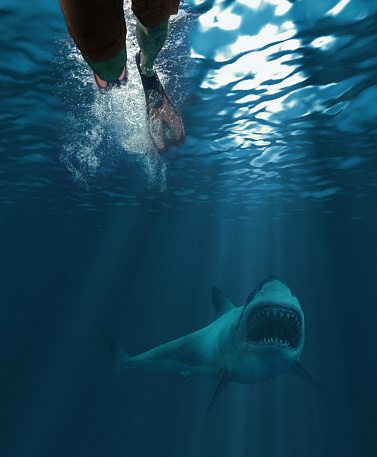 Underwater shot of a swimmer and a great white shark approaching with his mouth open
