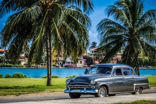 istock HDR  Black vintage car parked under palms in Varadero Cuba 642254288