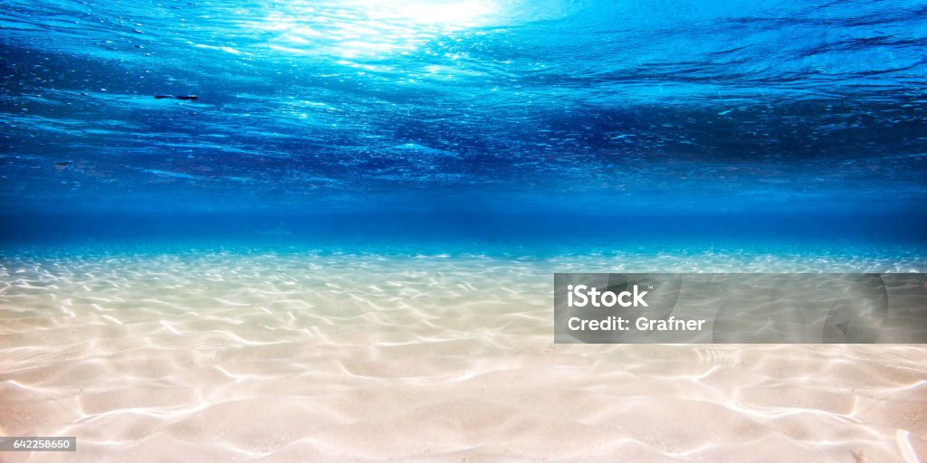 underwater blue ocean sandy background underwater blue ocean wide panorama background with sandy sea bottom Underwater Stock Photo