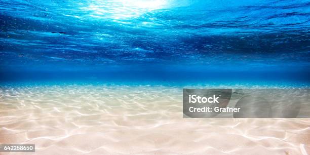 Underwater Blue Ocean Sandy Background Stock Photo - Download Image Now - Underwater, Ocean Floor, Sea