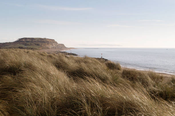 istock Hengistbury Head 642258730