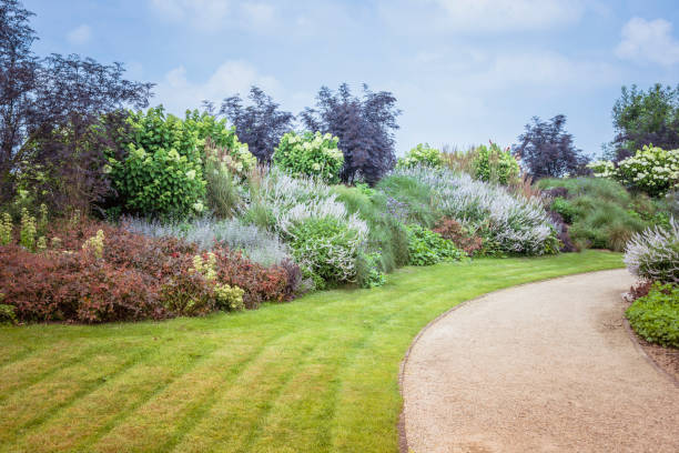 istock big garden with plants and flowers 642261694