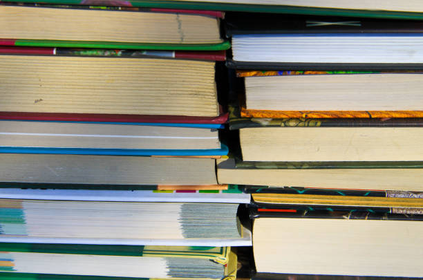 istock Many new books on a shelf 642263070