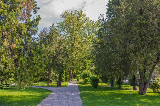 istock Urban alley in the park 642266418