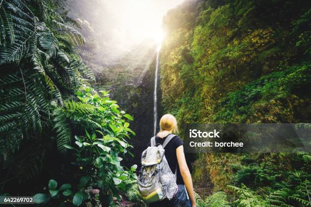 Woman Hiker Watching The Waterfall On Madeira Island - Fotografias de stock e mais imagens de Ilhas da Madeira