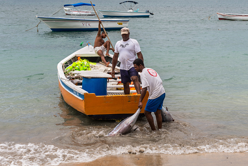 Unidentified fisherman carry tuna fish as they unload a catch from a boat at Tamarin Bay in Mauritius.