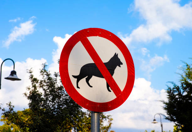 istock No dogs sign 642280522