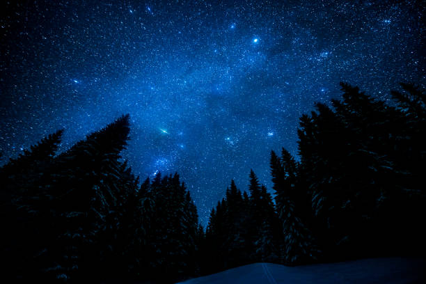 istock The bright starry sky in the night forest 642282858