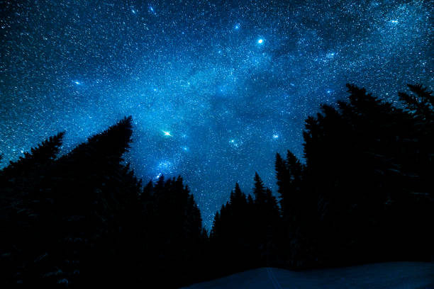 istock The bright starry sky in the night forest 642282876