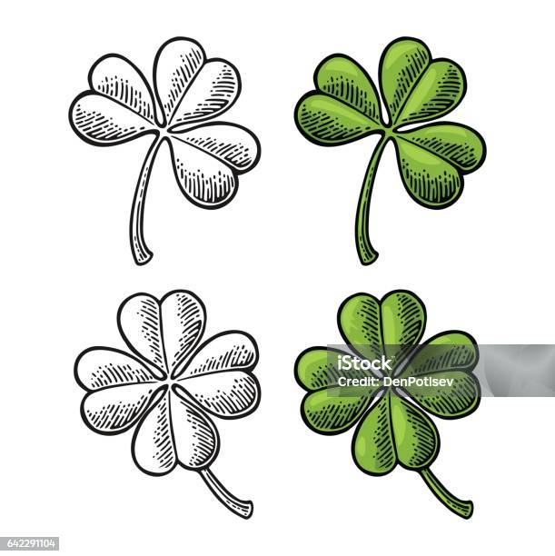 Good Luck Four And Three Leaf Clover Vintage Color Engraving Stock Illustration - Download Image Now