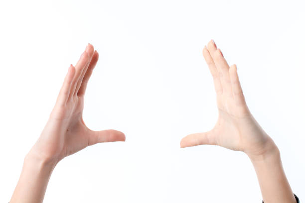 istock two female hands raised up one opposite the other isolated on white background 642291696