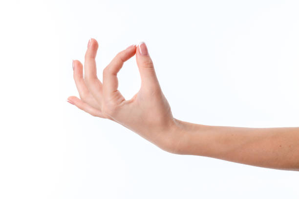 istock female hand stretched upward with clenched fingers isolated on white background 642291752