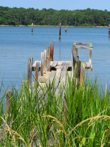 a scene on the chesapeake bay depicting nature and the landscape on the shore of the chesapeake bay in maryland, usa. - maryland fishing atlantic ocean sea imagens e fotografias de stock