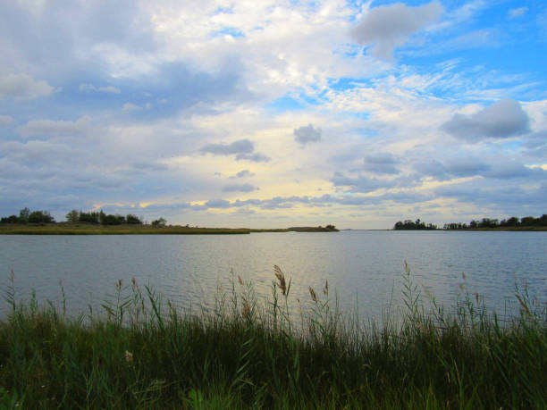 A scene on the Chesapeake Bay depicting nature and the landscape on the shore of the Chesapeake Bay in Maryland, USA. A view of the shoreline of the Chesapeake Bay natural scene showing the shoreline landscape, marsh, trees, and water surface with reflection. channel marker stock pictures, royalty-free photos & images