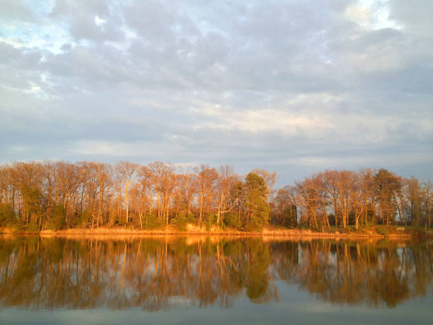 A scene on the Chesapeake Bay depicting nature and the landscape on the shore of the Chesapeake Bay in Maryland, USA. A view of the shoreline of the Chesapeake Bay natural scene showing the shoreline landscape, marsh, trees, and water surface with reflection. channel marker stock pictures, royalty-free photos & images