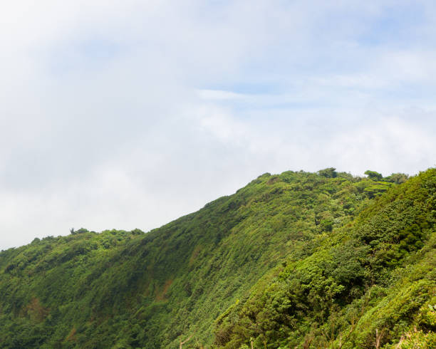 istock Rainforest landscape in Monteverde Costa Rica 642310966