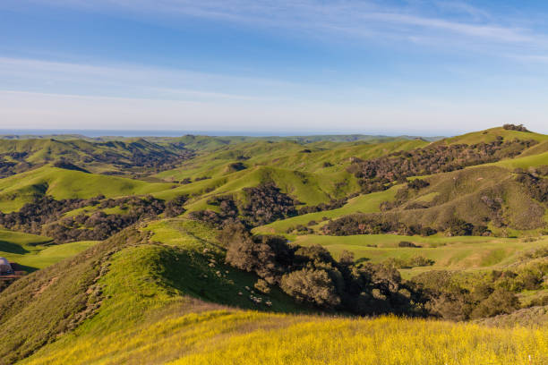 istock Coastal California Mountain Landscape 642311102